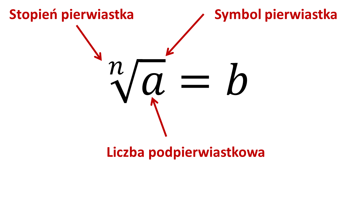 kalkulator pierwiastków: kwadratowy, sześcienny